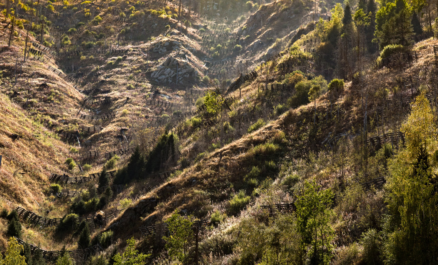 Almaty (Алма-Ата)